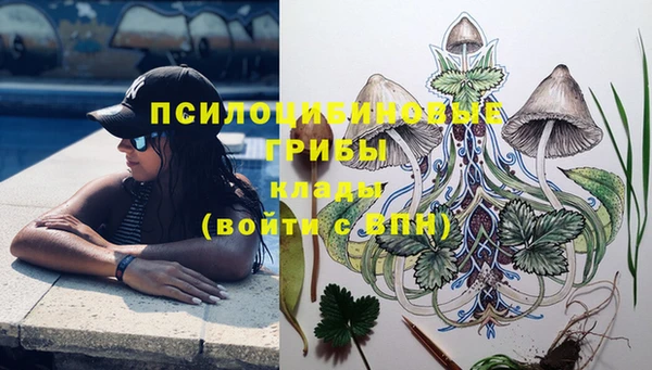 герыч Дмитриев
