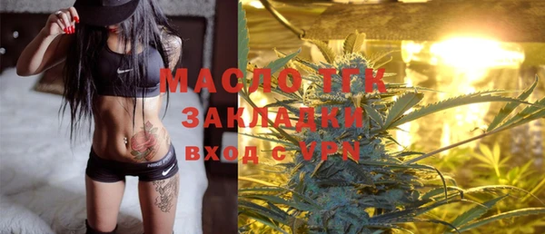 spice Гусев